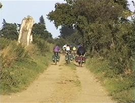 Offroad at last: a sandy track near Walk Farm, Tunstell